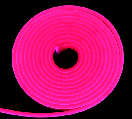 IP65 ελαφρύ RGB χρώμα λουρίδων νέου των αδιάβροχων οδηγήσεων SMD που αλλάζει 24V 12V